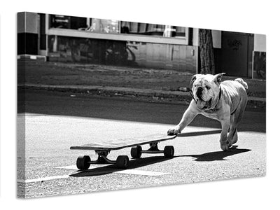 canvas-print-dogs-just-want-to-have-fun-x