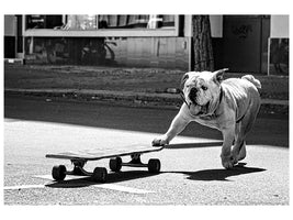 canvas-print-dogs-just-want-to-have-fun-x