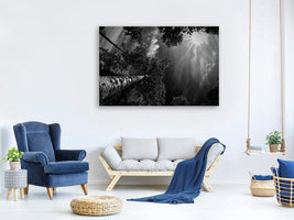 canvas-print-dreaming-before-the-thunder-x