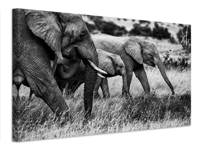 canvas-print-elephant-family-x