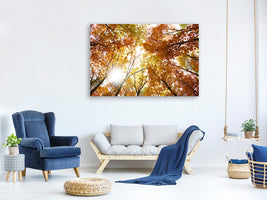 canvas-print-enlightened-autumn-trees