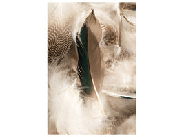 canvas-print-feathers