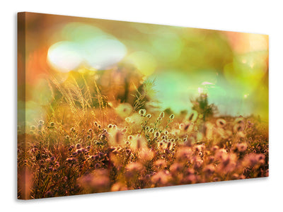 canvas-print-flower-meadow-at-twilight
