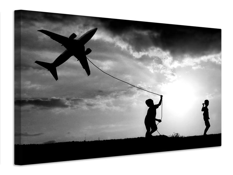 canvas-print-fly-my-plane-x