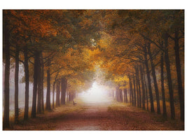 canvas-print-foggy-autumn-dream-x