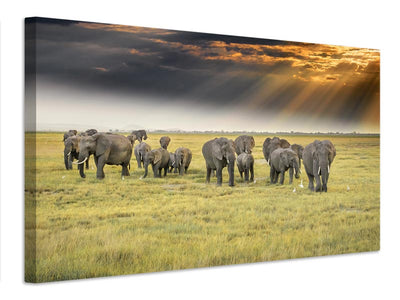 canvas-print-for-the-love-of-elephants-x