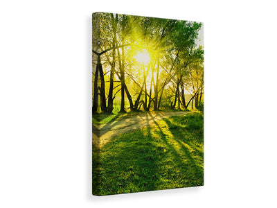 canvas-print-forest-path-in-sunlight