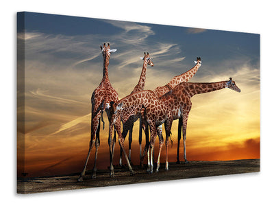 canvas-print-girafe-at-sunset