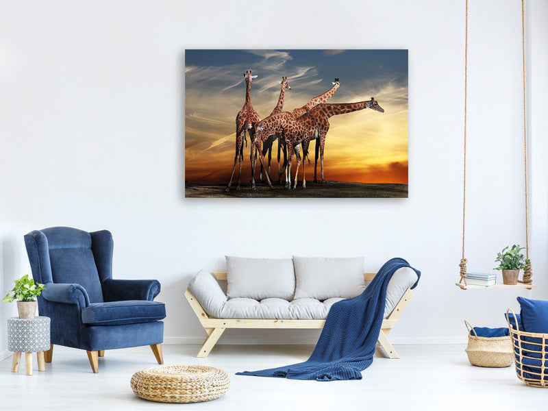 canvas-print-girafe-at-sunset