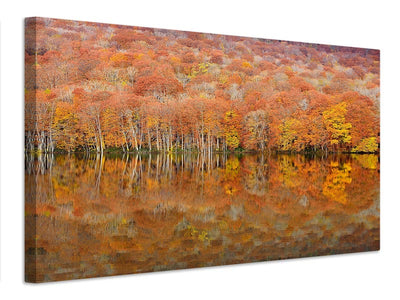 canvas-print-glowing-autumn-x