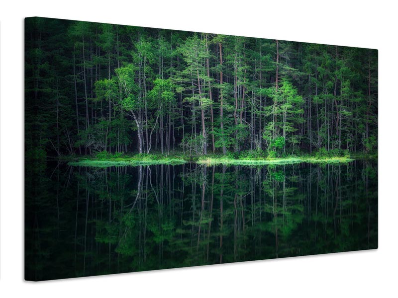 canvas-print-green-world-x