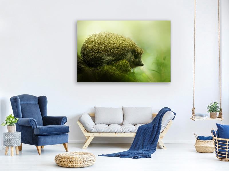 canvas-print-hedgehog-x