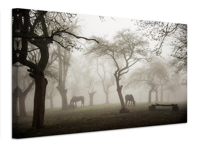 canvas-print-horses-in-a-foggy-orchard-x