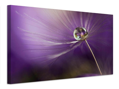canvas-print-in-shades-of-purple-x