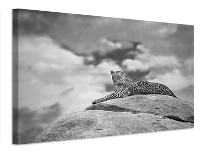 canvas-print-leopard-on-a-kopje-x