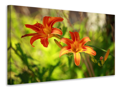 canvas-print-lilies-in-nature