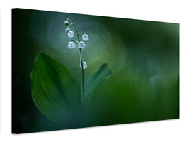 canvas-print-lilly-of-the-valley-x