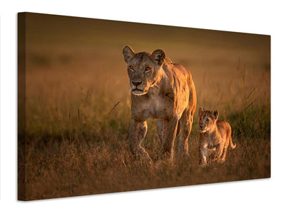 canvas-print-mom-lioness-with-cub-x