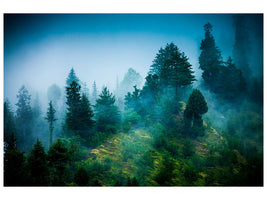 canvas-print-mysterious-forest-ii