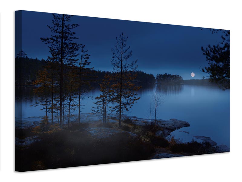 canvas-print-night-mist-x