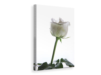 canvas-print-on-behalf-of-the-rose