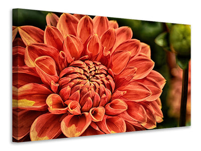 canvas-print-painting-of-a-dahlia