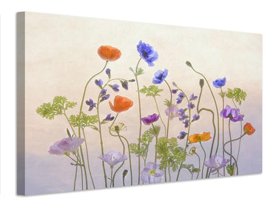 canvas-print-poppy-a-anemone-x