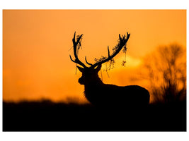 canvas-print-red-deer-stag-silhouette-x