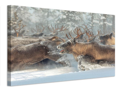canvas-print-reindeers-iii-x