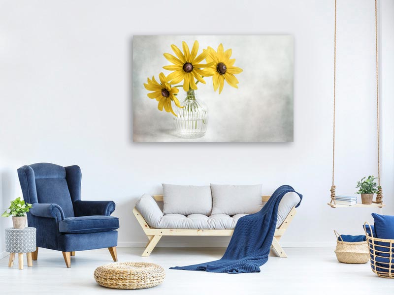 canvas-print-rudbeckia-x