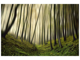 canvas-print-run-forest-run-x