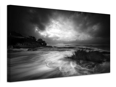 canvas-print-rushes-in-the-sea-x