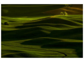 canvas-print-spring-rolling-hills-x