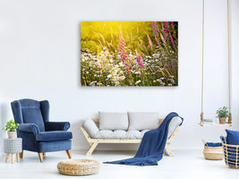 canvas-print-summer-flower-meadow
