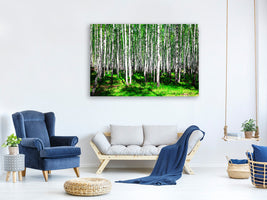 canvas-print-summerly-birch-forest