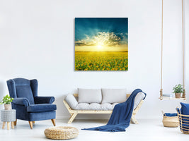 canvas-print-sunflowers-in-the-evening-sun