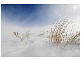 canvas-print-sunny-snowstorm-x
