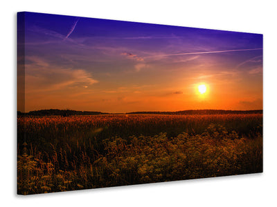 canvas-print-sunset-at-the-flower-field