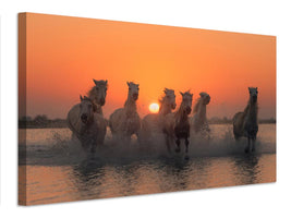 canvas-print-sunset-in-camargue-x