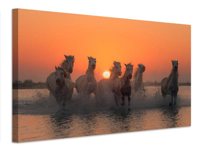 canvas-print-sunset-in-camargue-x