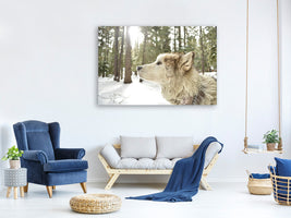 canvas-print-the-alaskan-malamute