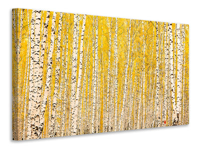 canvas-print-the-birch-forest-in-autumn