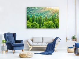 canvas-print-the-forest-hill