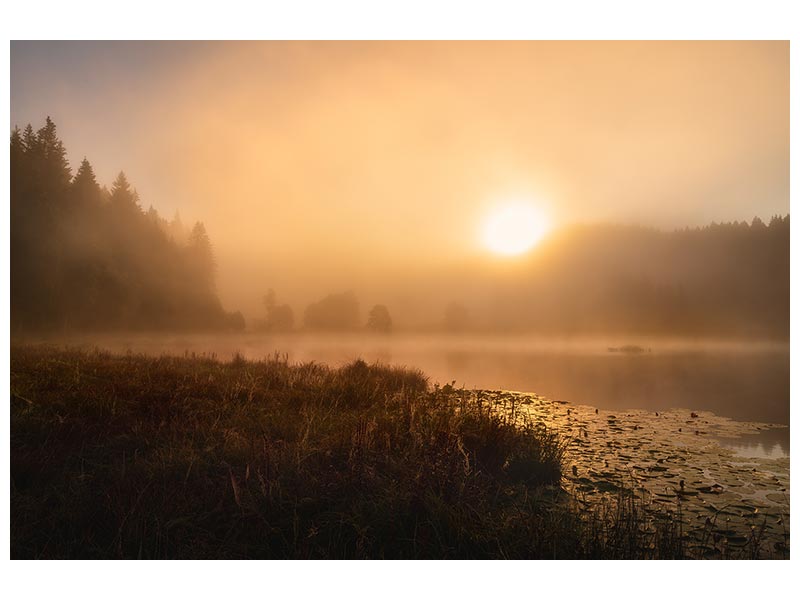 canvas-print-the-incredible-light-of-an-october-morning-x