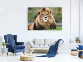 canvas-print-the-king-of-animals