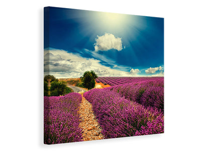 canvas-print-the-lavender-valley