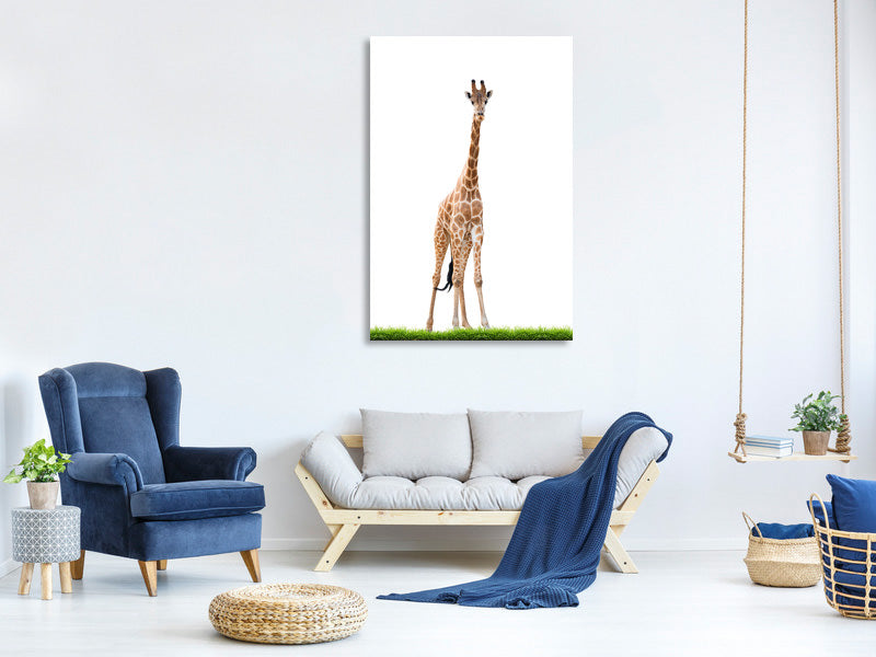 canvas-print-the-long-giraffe
