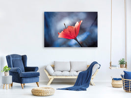 canvas-print-the-poppy-master