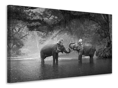 canvas-print-two-elephants
