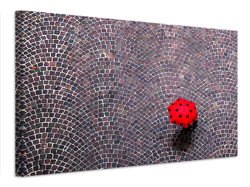 canvas-print-urban-ladybug-x